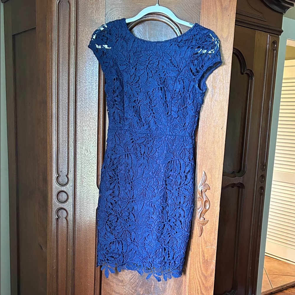 Lulu's Navy Lace Mini Dress